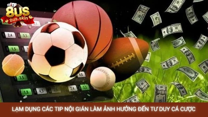 Lạm dụng các tip nội gián làm ảnh hưởng đến tư duy cá cược